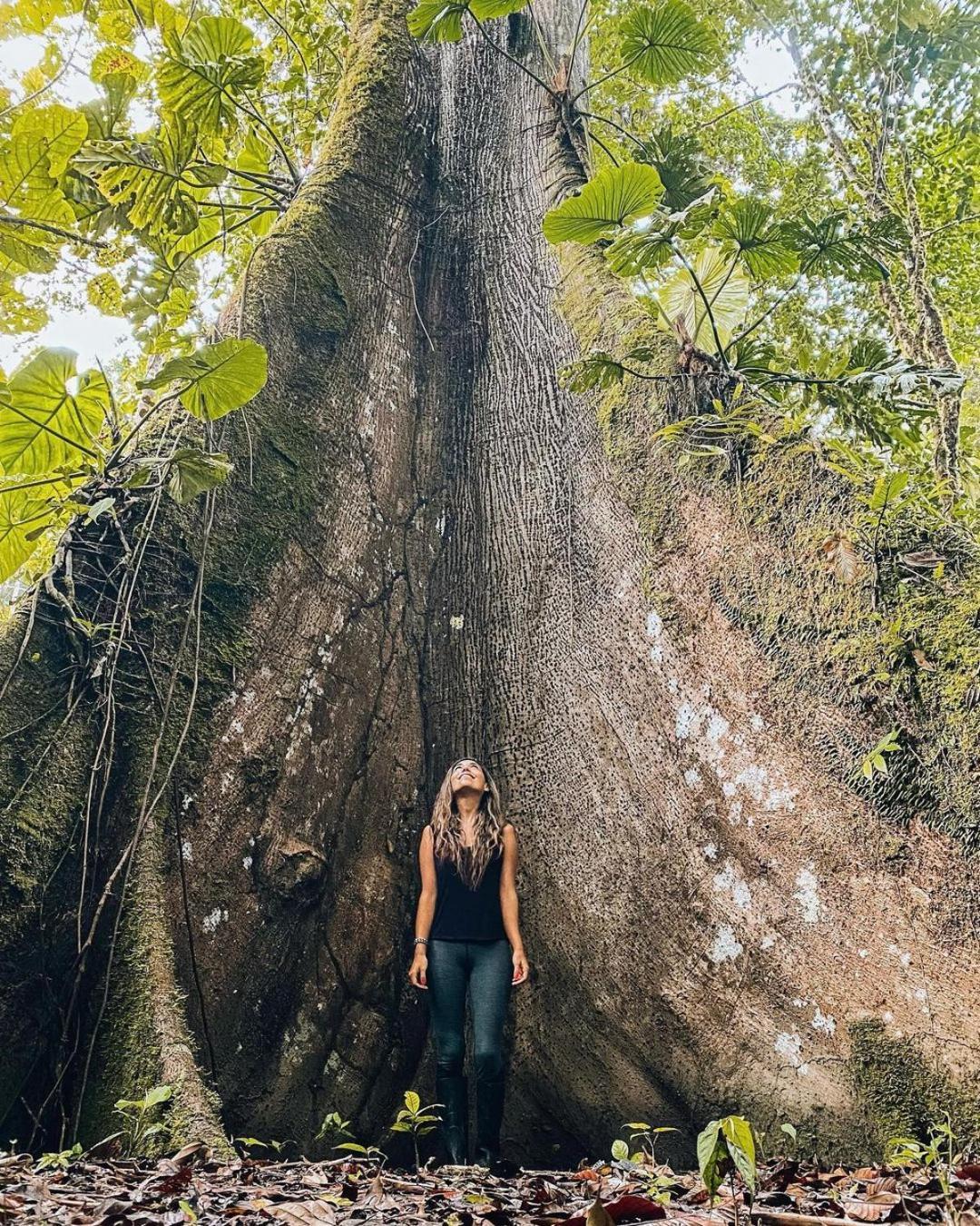 Mariana Miller Lodge Puerto Misahuallí Εξωτερικό φωτογραφία